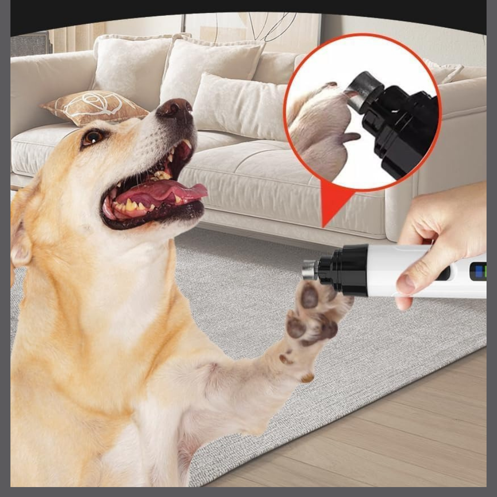 GrifCalm™ – Ensemble Doux pour Griffes Calmes et Soignées