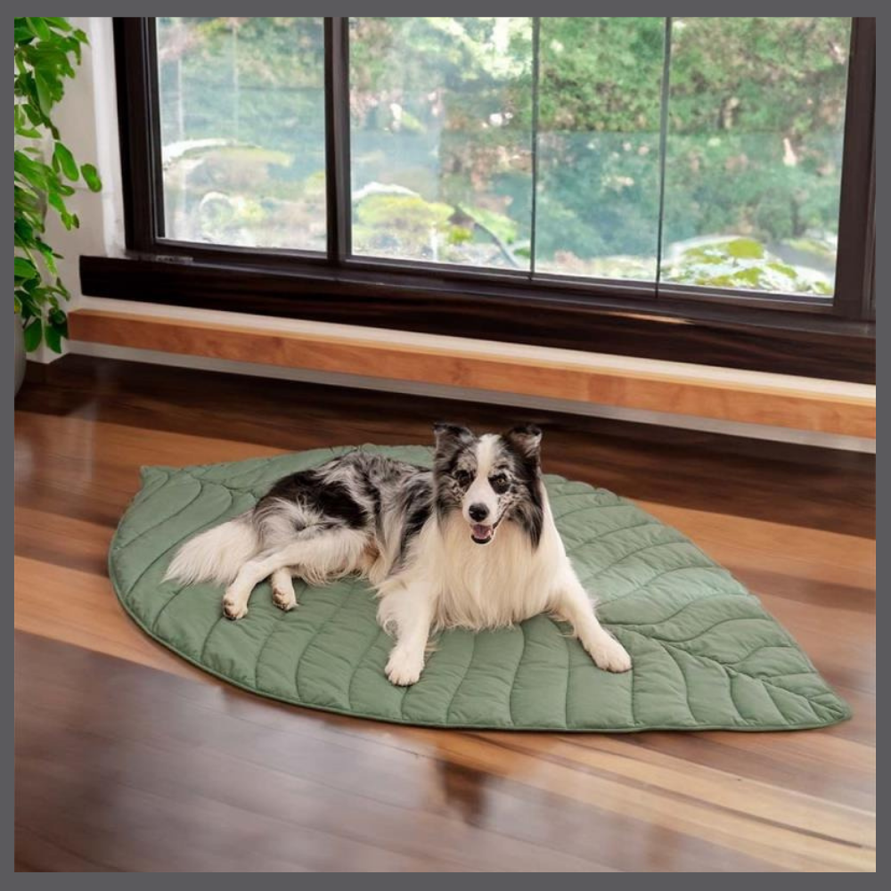 Le Tapis Rafraîchissant PawComfort™