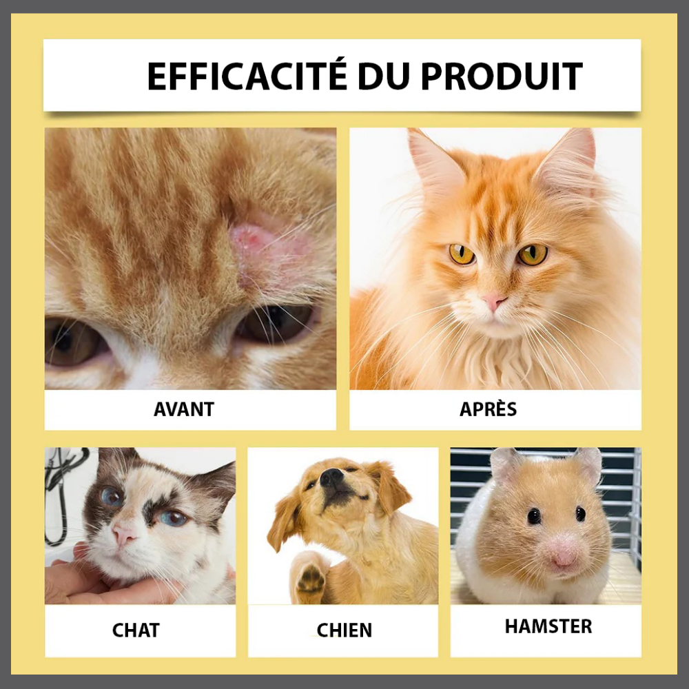 Dermapaws™–Spray Naturel Anti-Démangeaisons