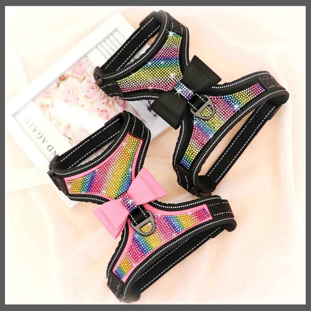 Harnais Bling pour Chien avec Nœud