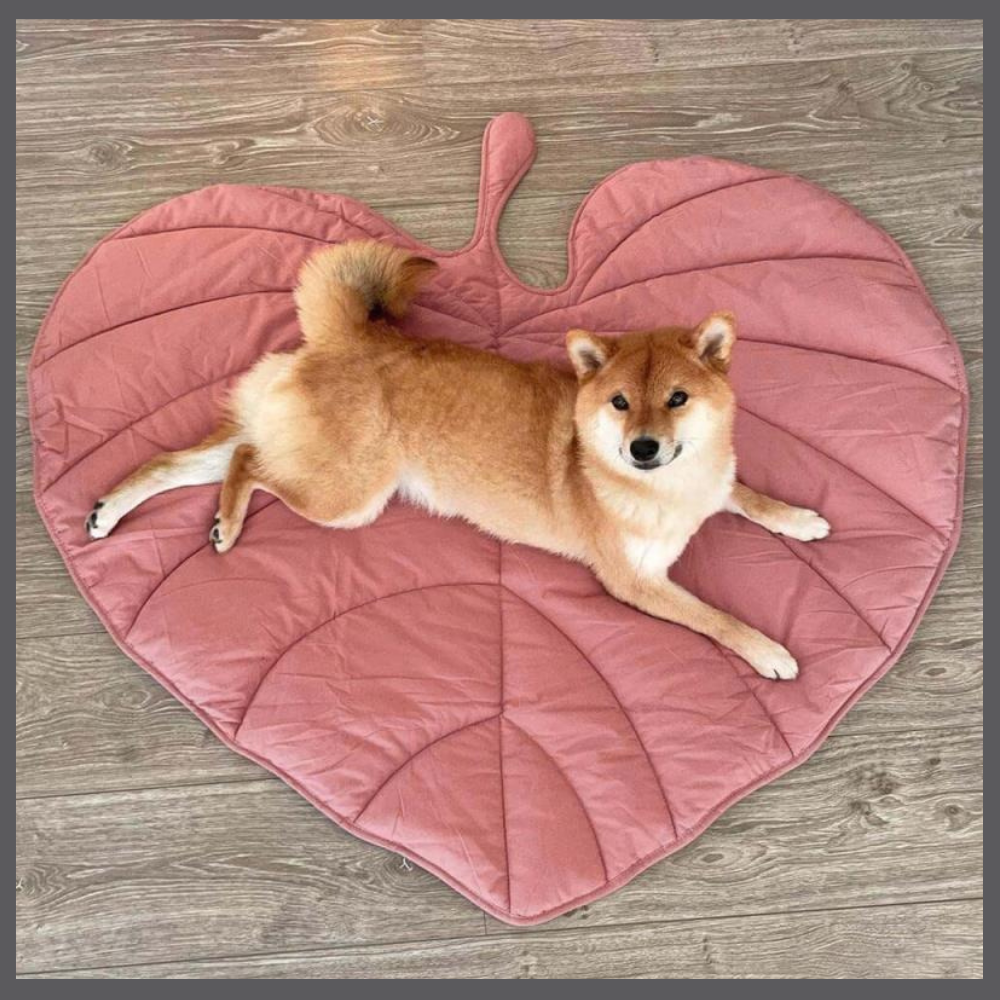 Le Tapis Rafraîchissant PawComfort™