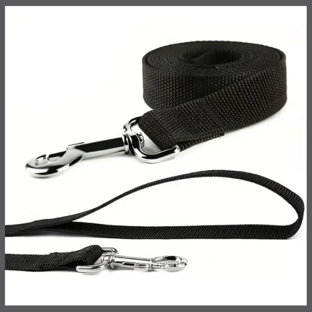 LeashPro™ – La Laisse Hydratante Multifonction pour Chien