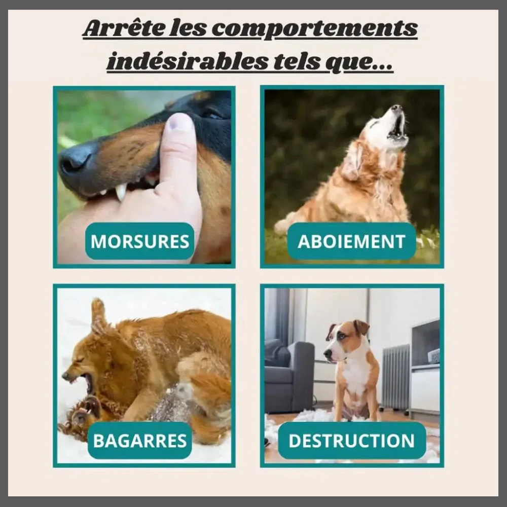 SilenceGuard™ – Bipeur Anti-Aboiement