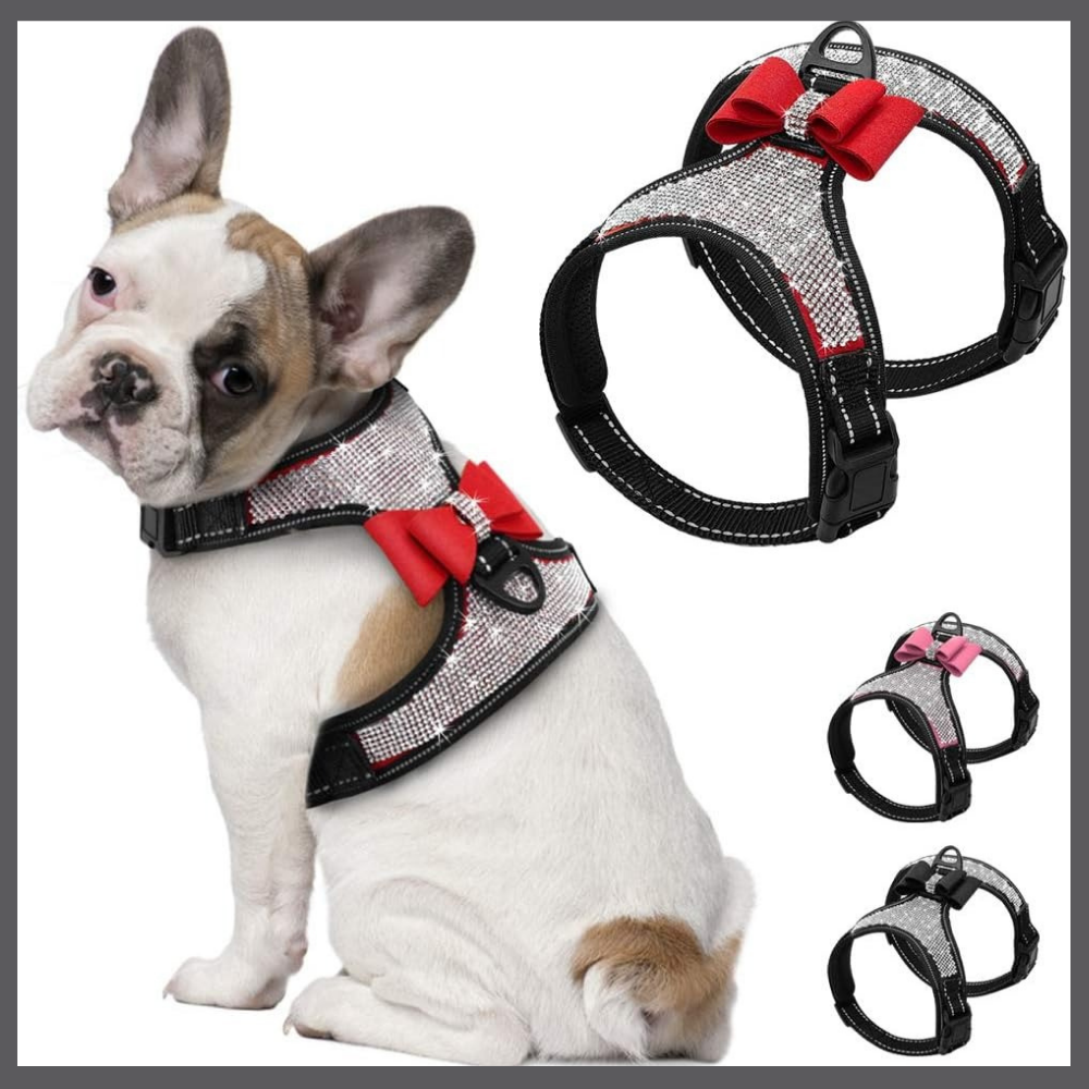 Harnais Bling pour Chien avec Nœud