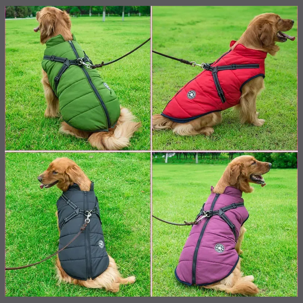 WarmPaws™ - Manteau Imperméable pour Chien