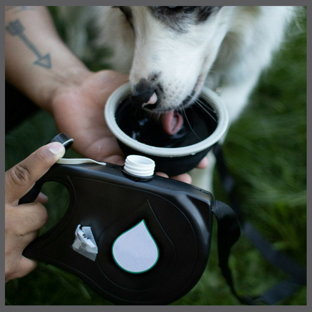 LeashPro™ – La Laisse Hydratante Multifonction pour Chien