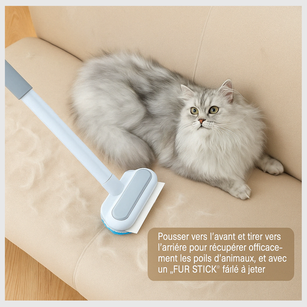 L'originale brosse anti-poils multifonction
