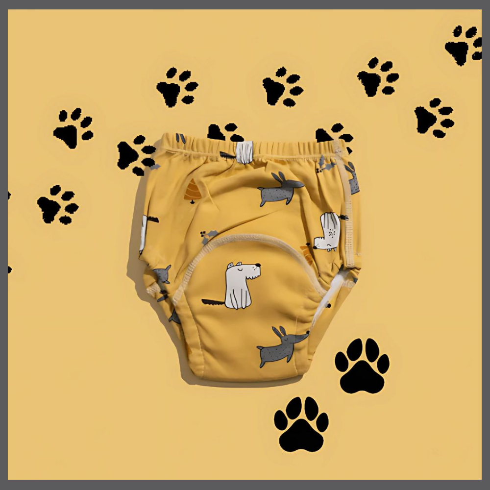 Culotte d’Apprentissage