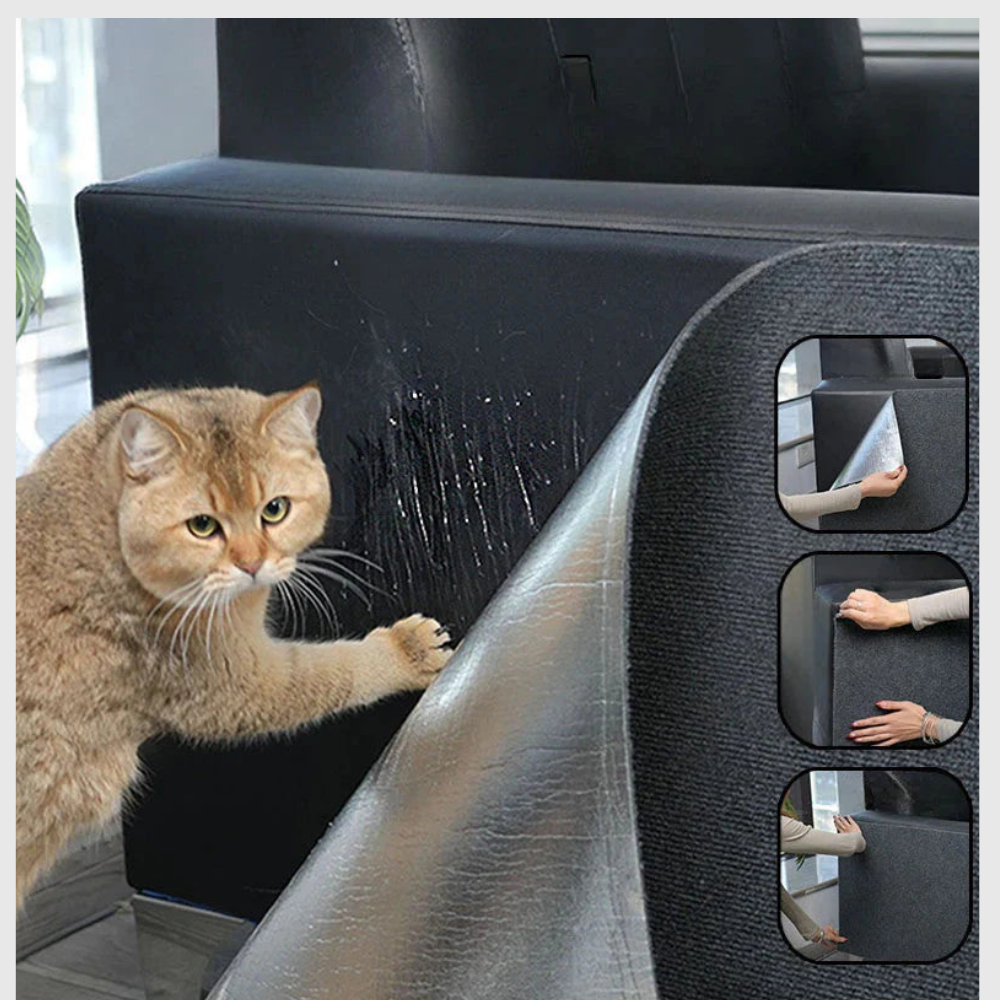 Tapis Adhésif Protecteur pour Griffes de Chat