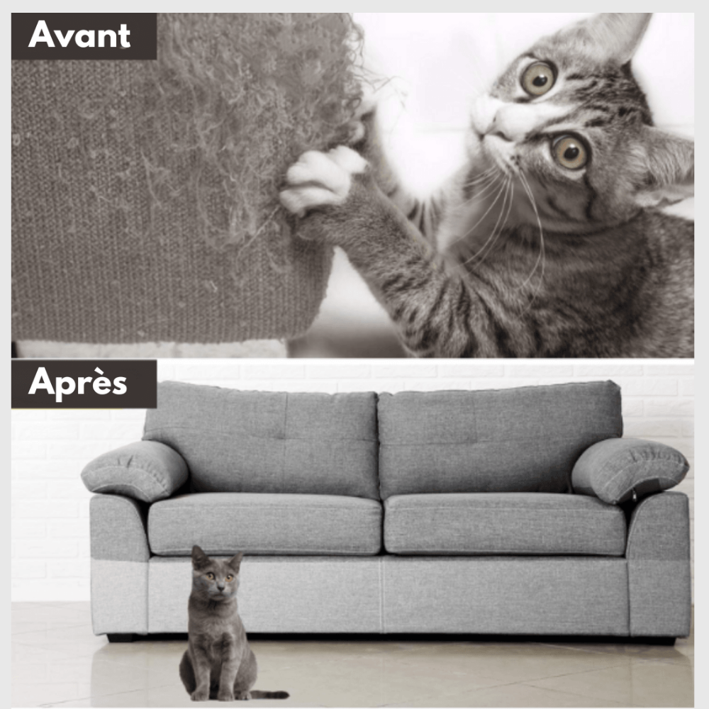 Tapis Adhésif Protecteur pour Griffes de Chat