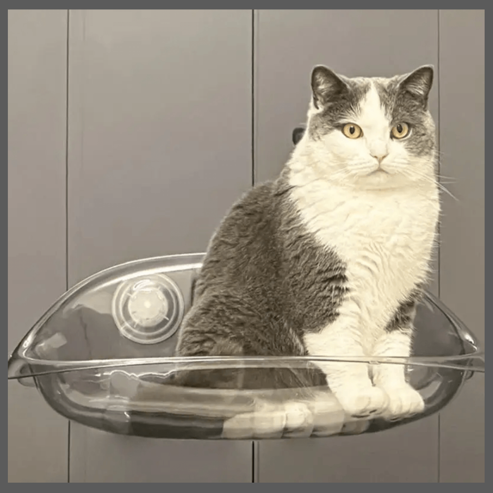 Lit Suspendu Moderne pour Chats