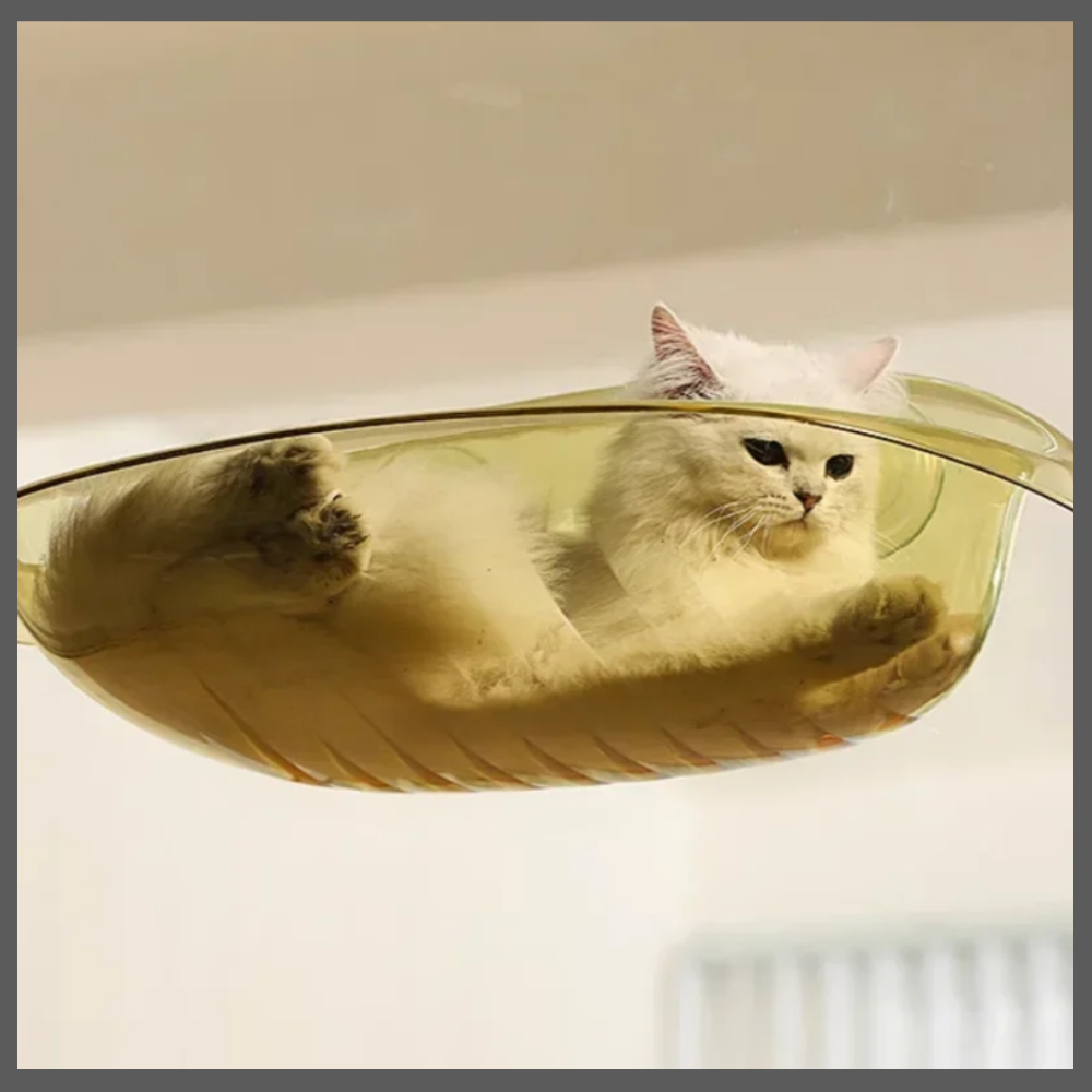 Lit Suspendu Moderne pour Chats