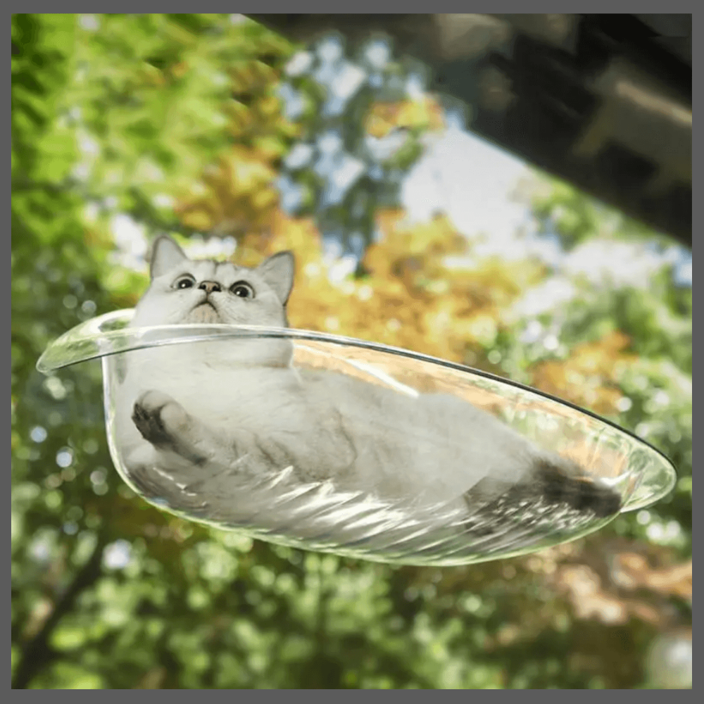 Lit Suspendu Moderne pour Chats