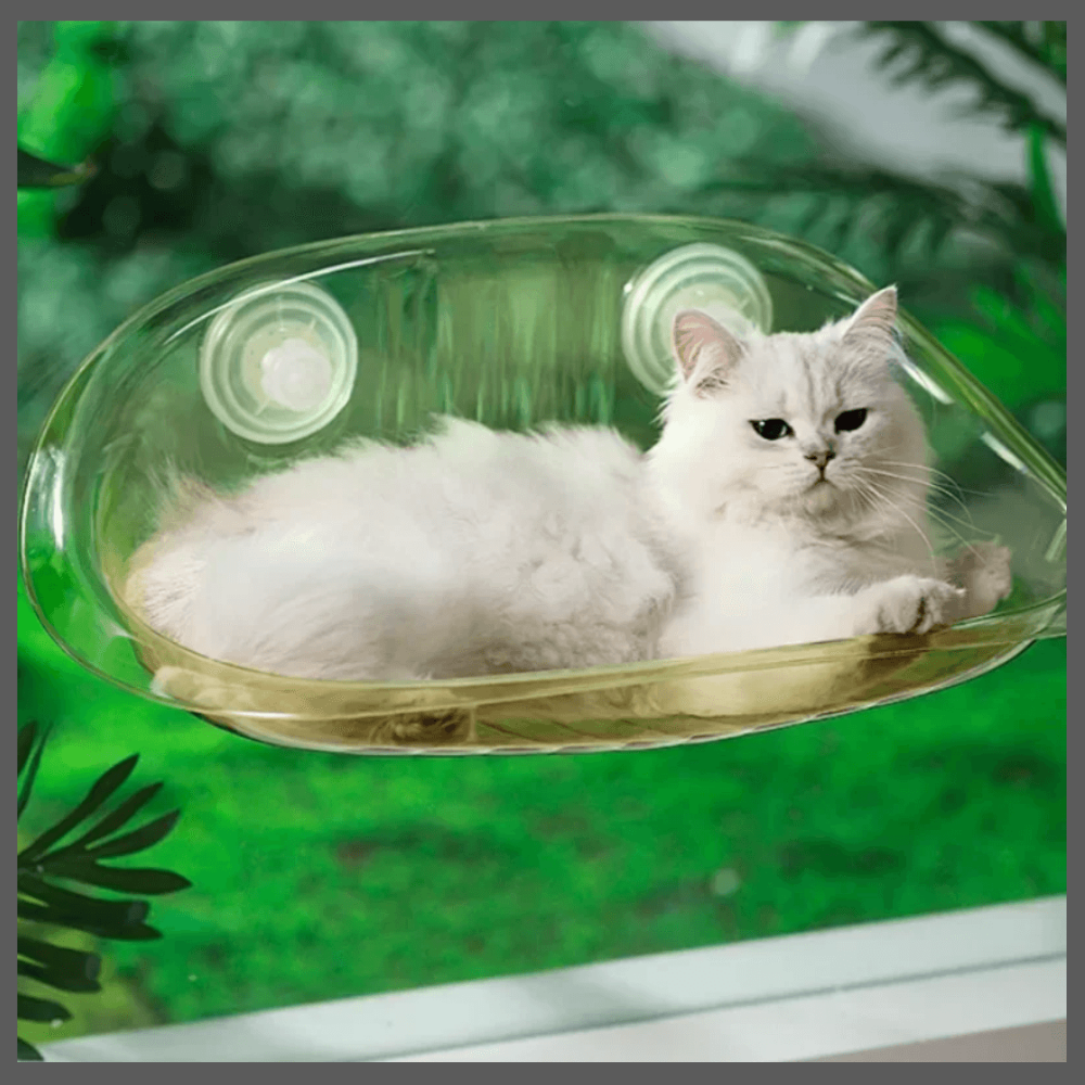 Lit Suspendu Moderne pour Chats