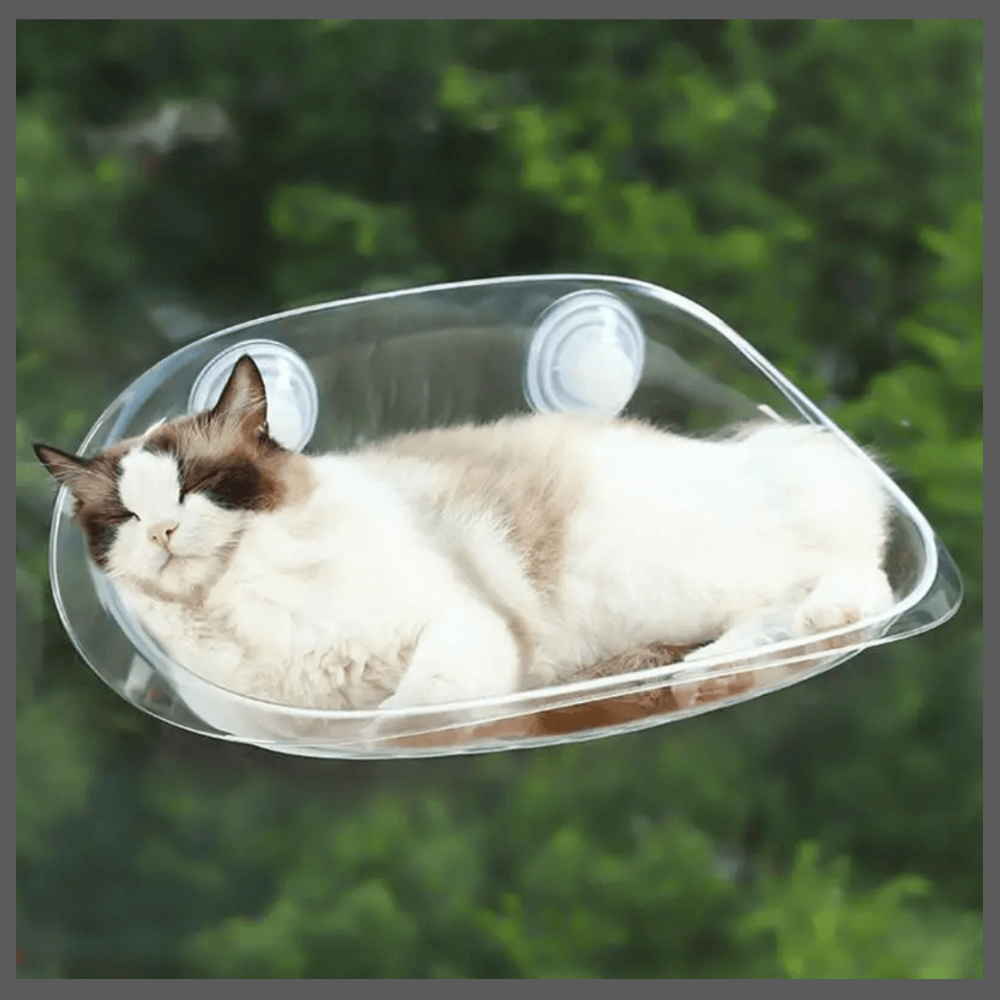 Lit Suspendu Moderne pour Chats