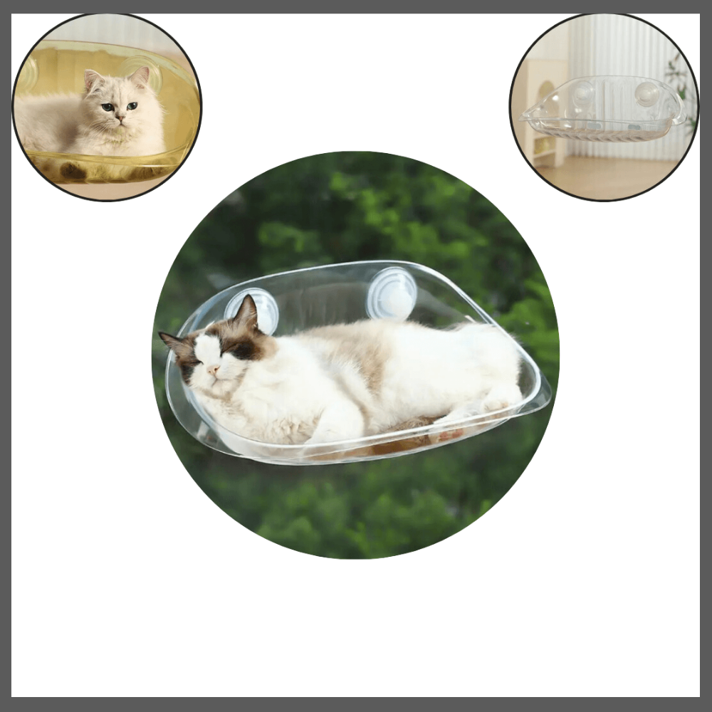 Lit Suspendu Moderne pour Chats