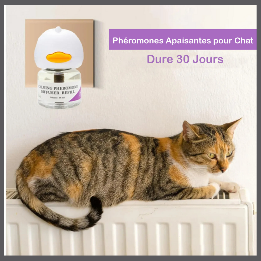 SereniChat™ – Diffuseur Calmant pour Chats