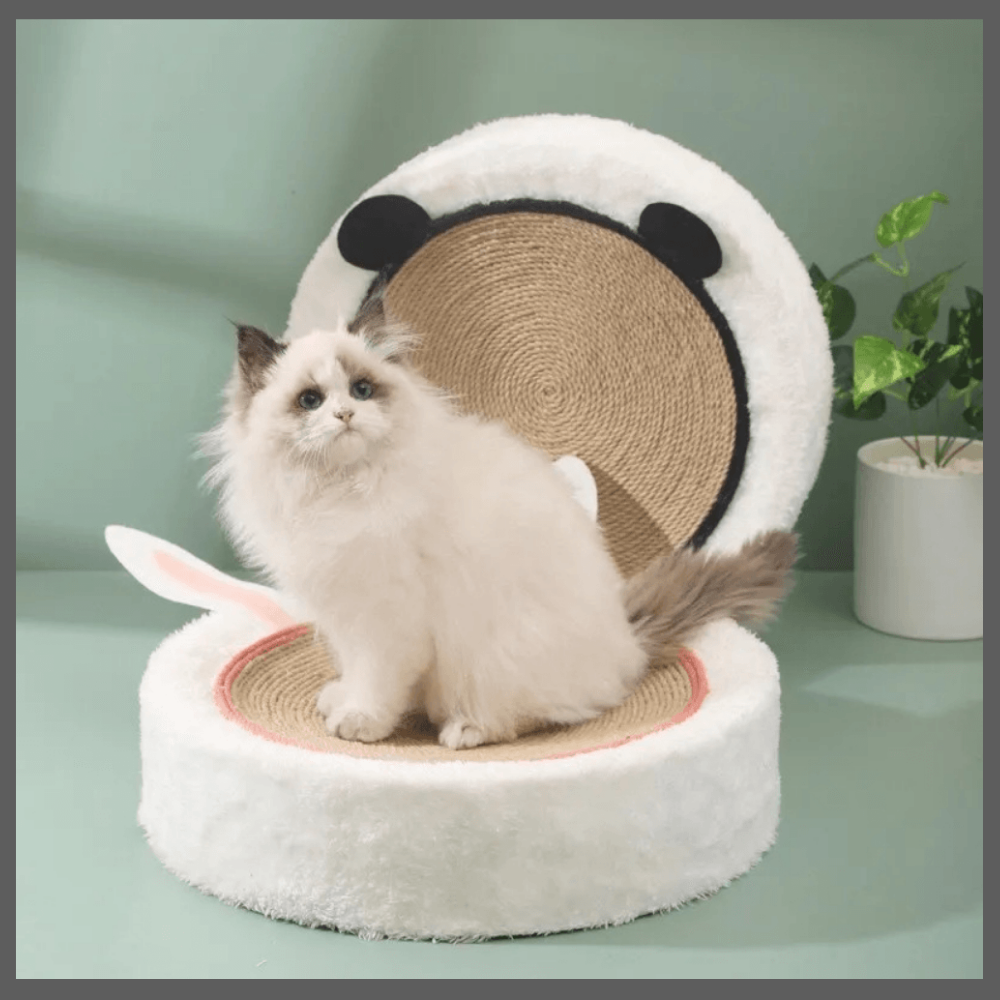 Griffoir Lit pour Chats