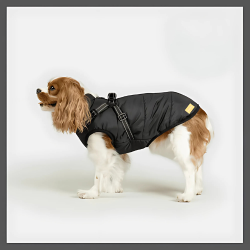 PawProtec™ - Manteau imperméable pour chien