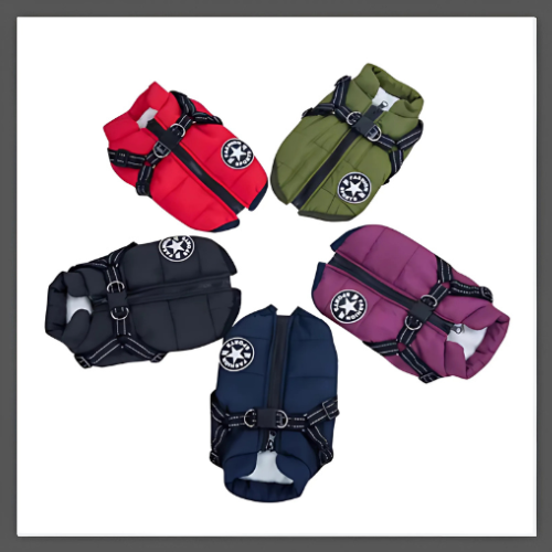 PawProtec™ - Manteau imperméable pour chien