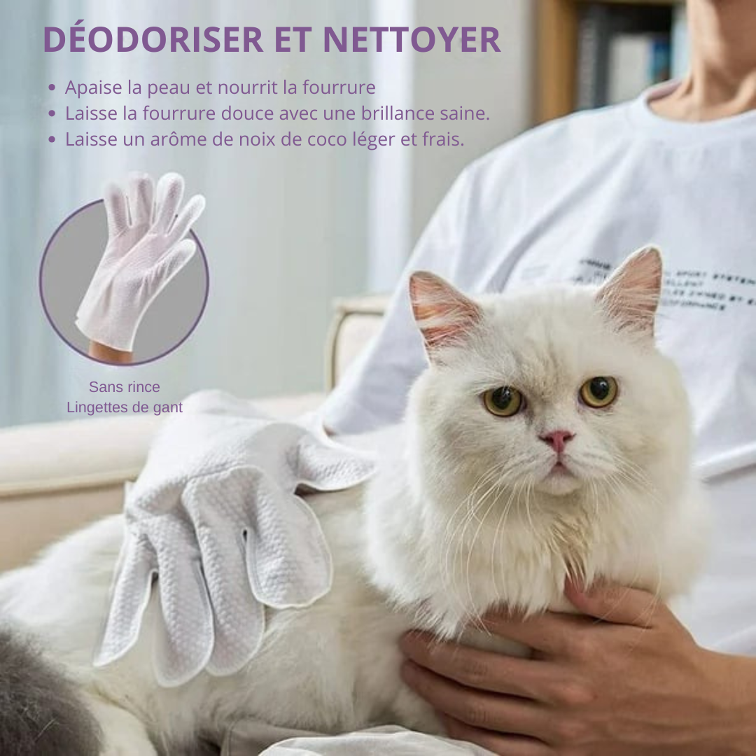 Fraîcheur et Propreté : Gants de Toilettage Éliminateurs d’Odeurs pour Votre Animal