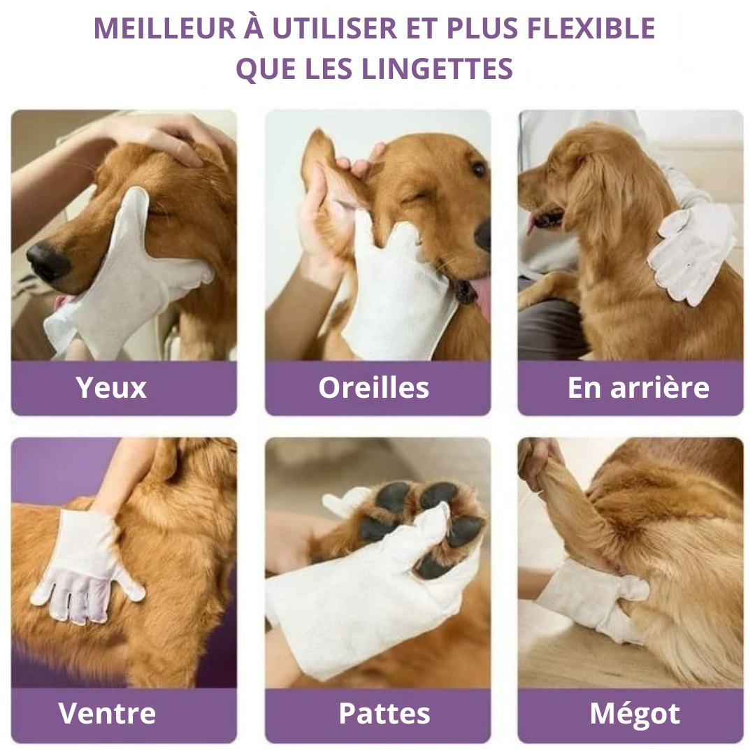 Fraîcheur et Propreté : Gants de Toilettage Éliminateurs d’Odeurs pour Votre Animal