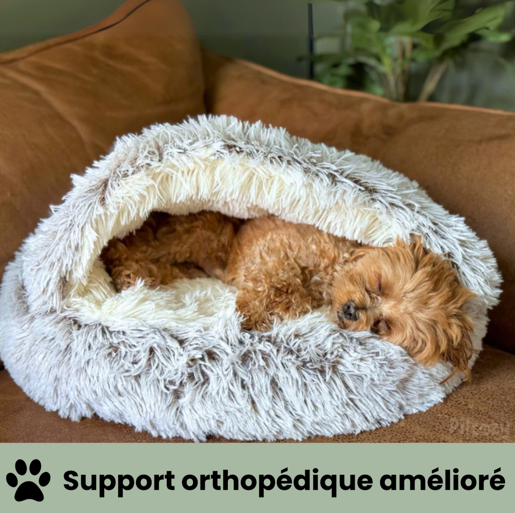 Le Cocon Apaisant : Le Coussin Parfait pour Soulager le Stress de Votre Animal