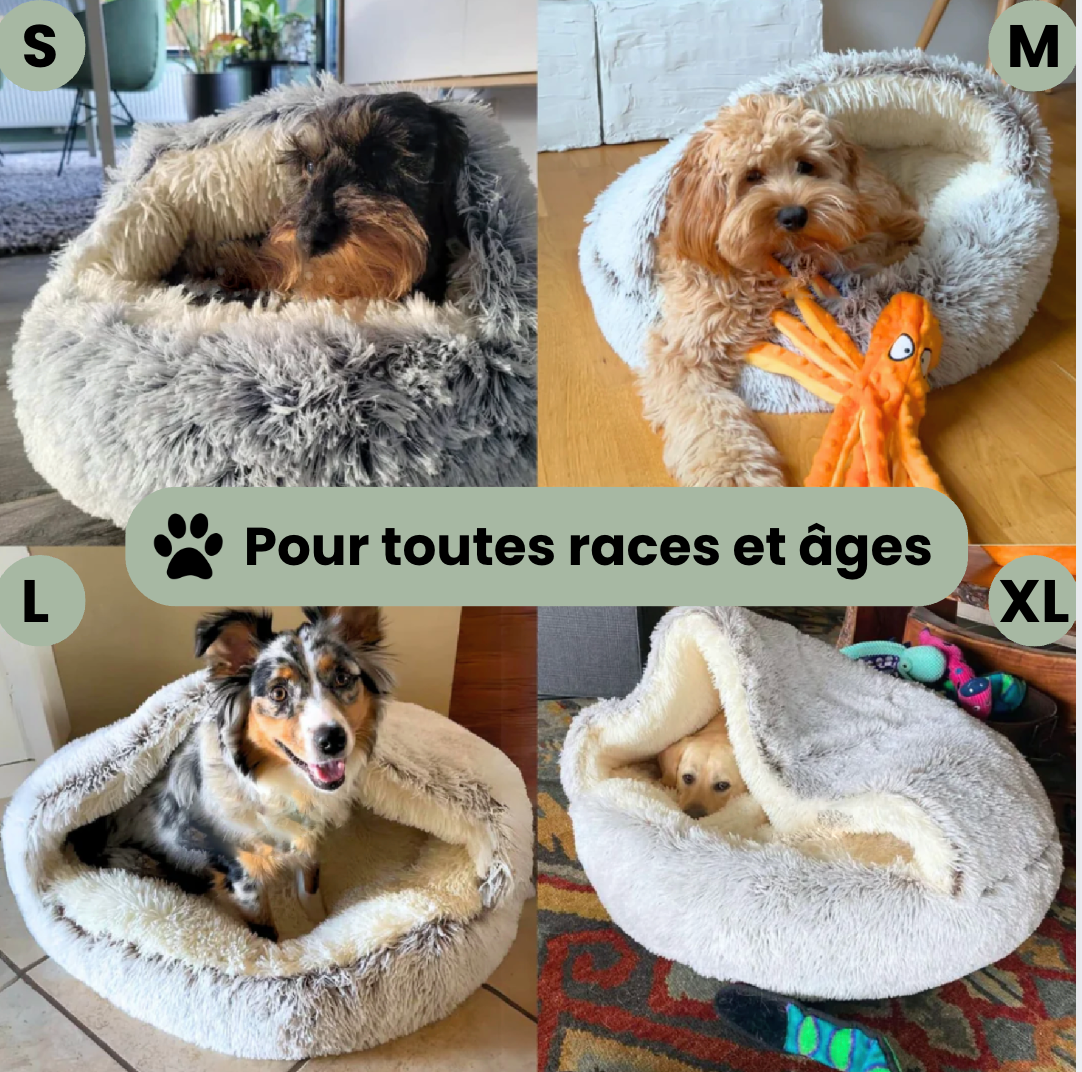 Le Cocon Apaisant : Le Coussin Parfait pour Soulager le Stress de Votre Animal