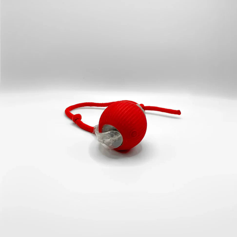 PawQuest –Jouet Interactif pour Chats