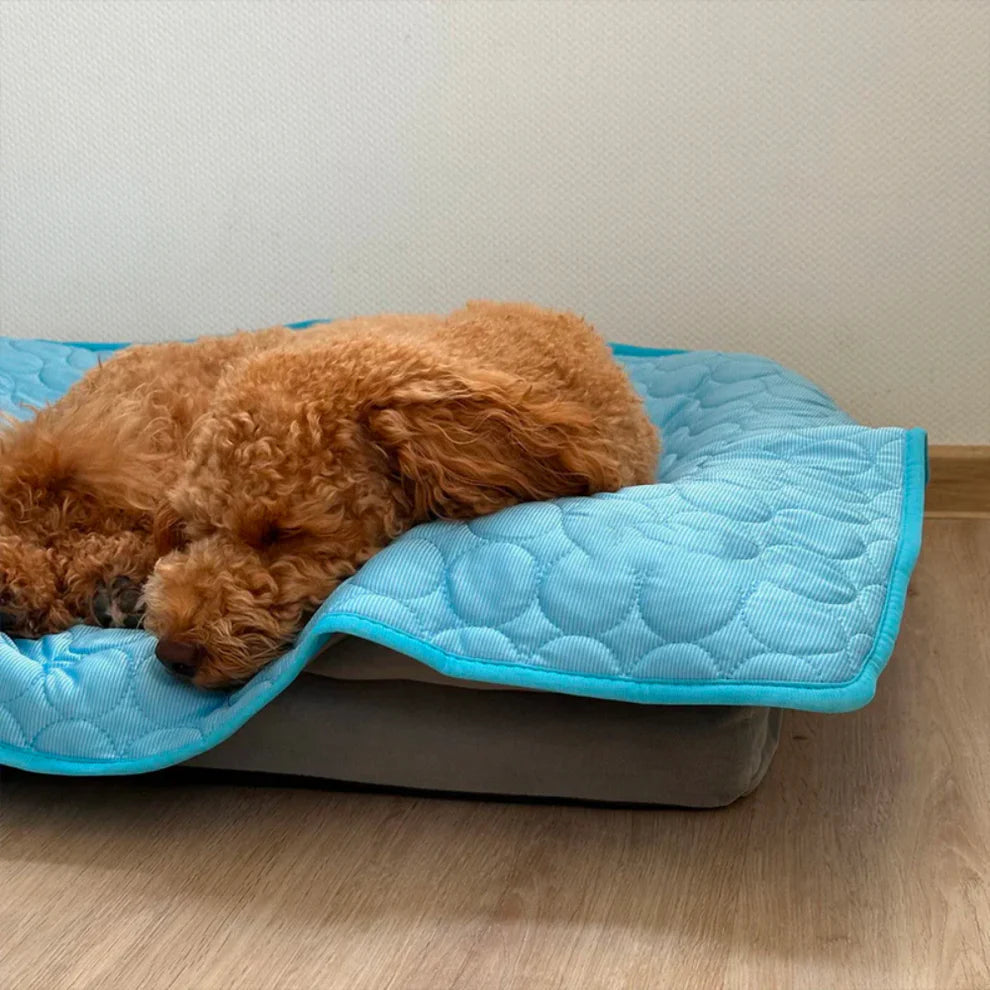Tapis Rafraîchissant pour Animaux