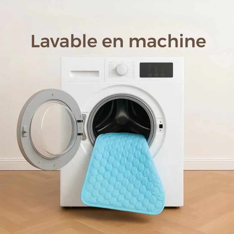 Tapis Rafraîchissant pour Animaux