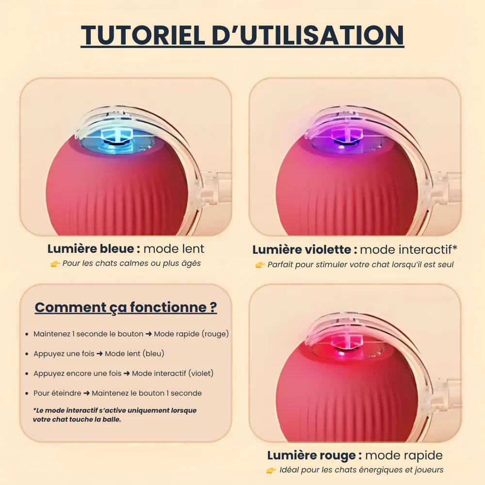 PawQuest –Jouet Interactif pour Chats