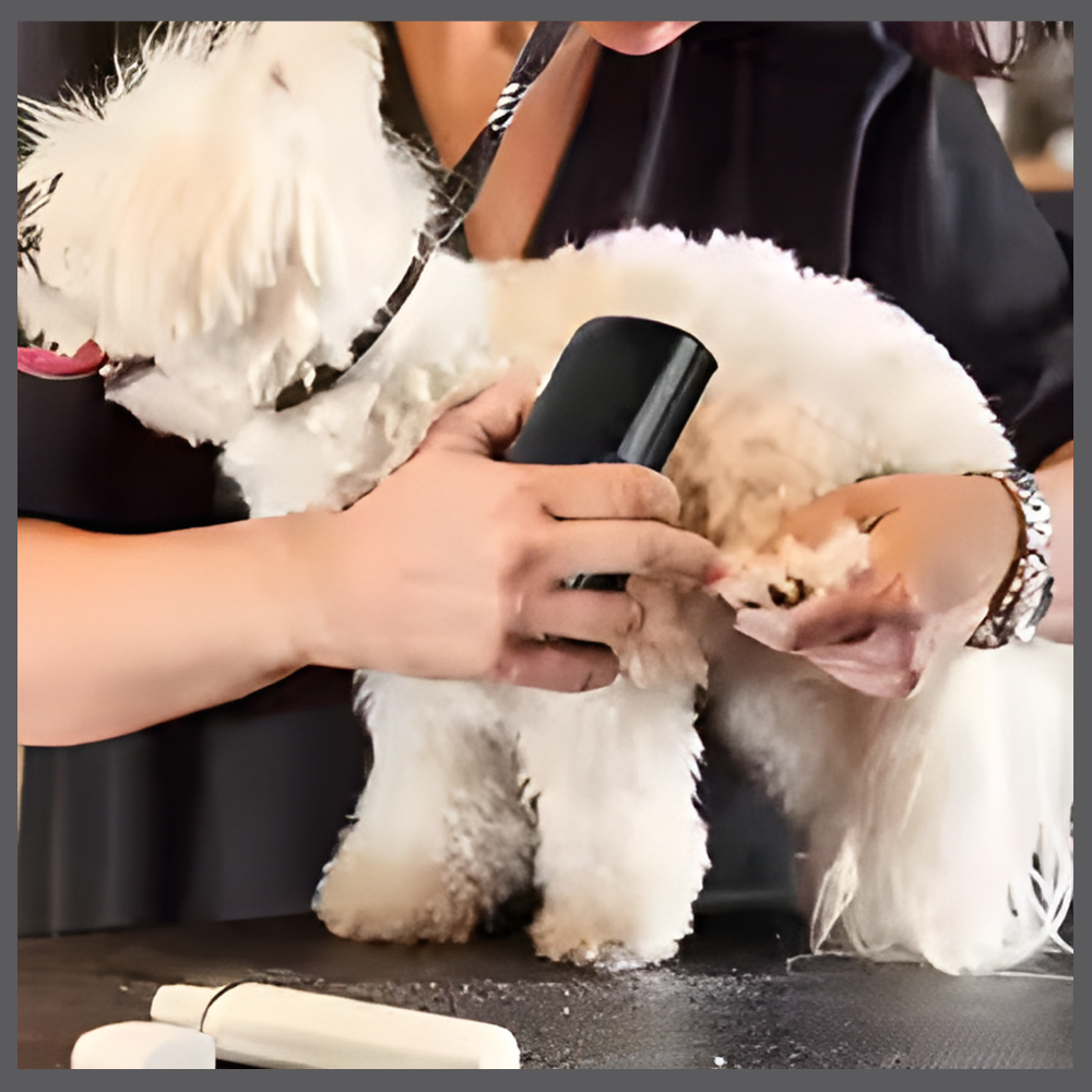 GroomPro™ 2.0 – Brosse de Toilettage Révolutionnaire pour Chiens et Chats