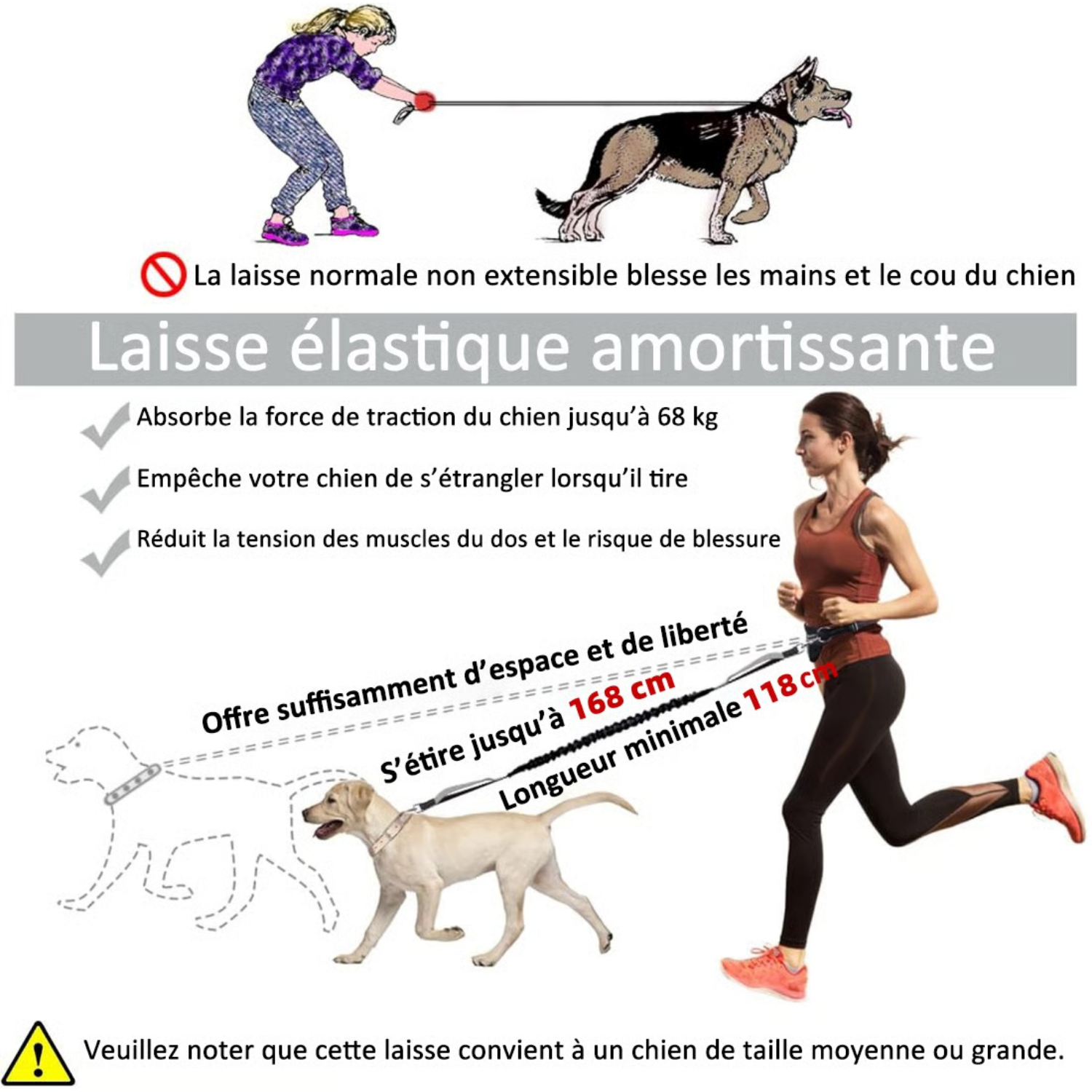 laisse mains libres pour chien avec poche zippée