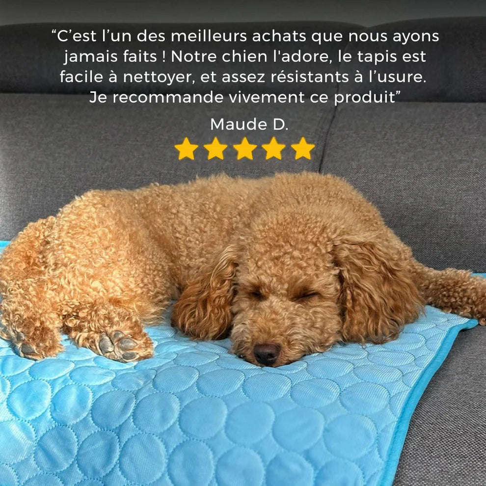 Tapis Rafraîchissant pour Animaux