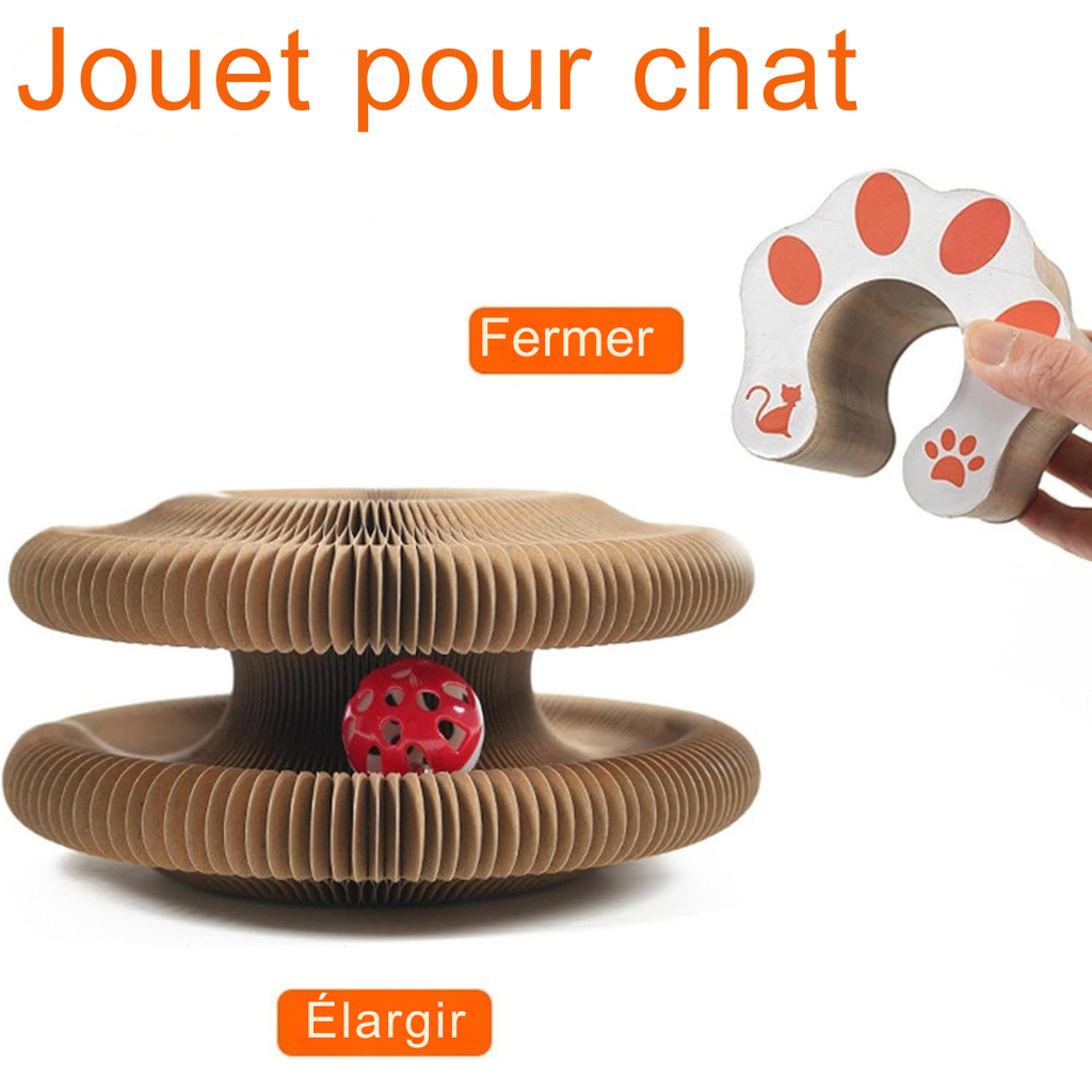 FéliSpin - Jouet Ludique et Relaxant pour Chats